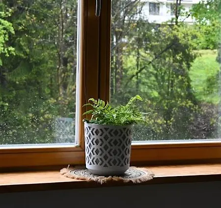 Silver * ザコパネ